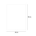 Leinwanddruck Schwarz-Weiß Löwe Tier 40x50cm Variety Aslan Angebot