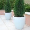 Hoher runder Pflanzkübel Ø 60cm für Garten, Terrasse, Balkon Orione Maße